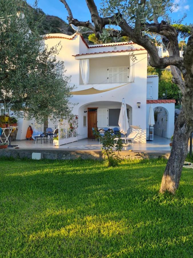 Blu Maronti Apartment Barano d'Ischia Exterior photo